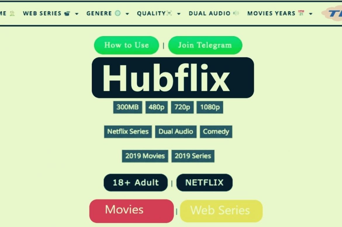 Download All High-Quality Latest Movies From Hubflix Website| Access Hubflix Via VPNs