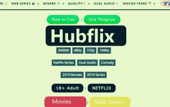 Hubflix