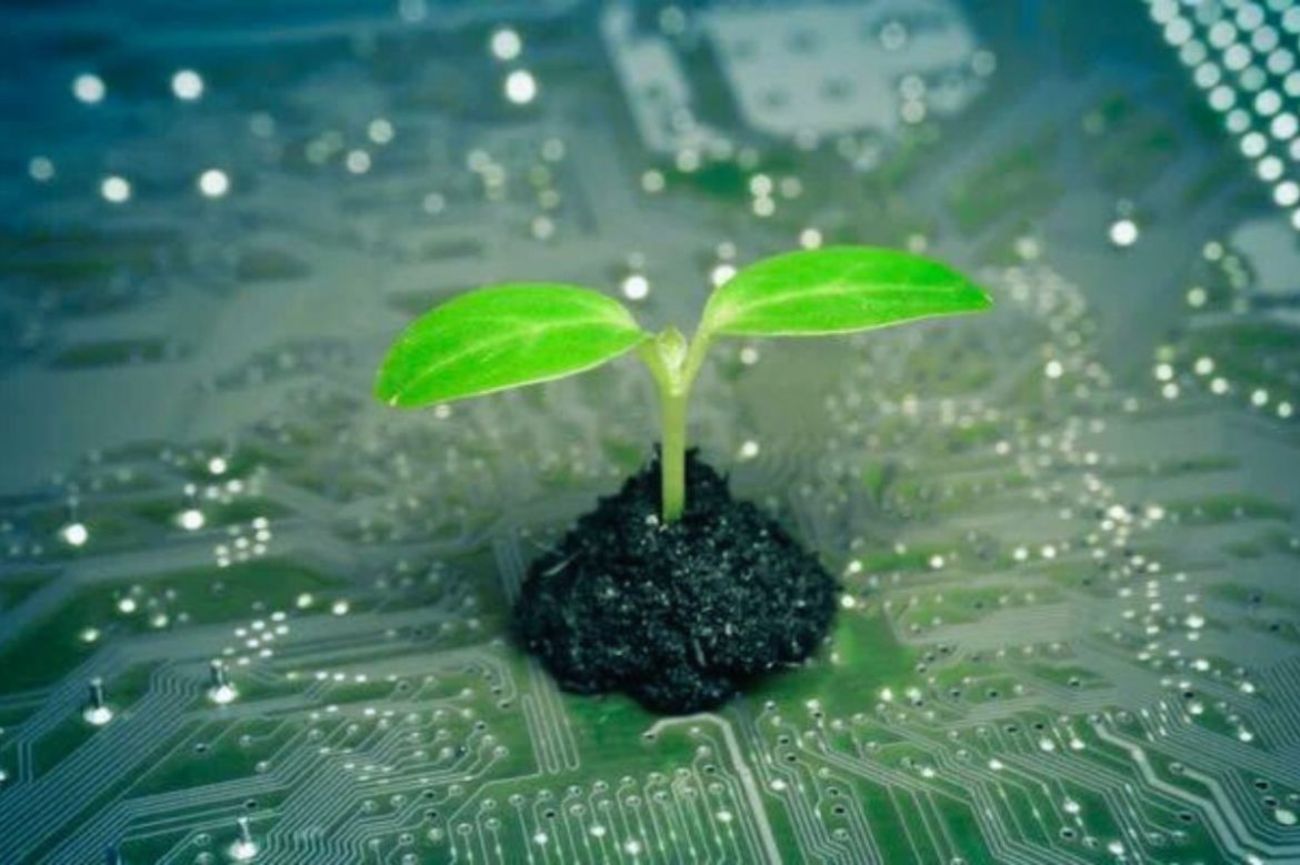 Digital Sustainability, The Solution For The Future Of The Planet