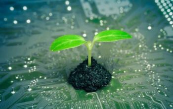 Digital Sustainability, The Solution For The Future Of The Planet