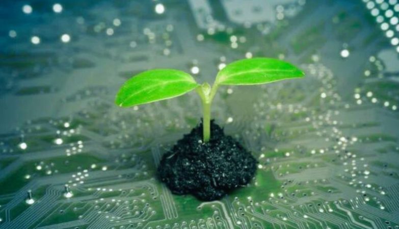 Digital Sustainability, The Solution For The Future Of The Planet