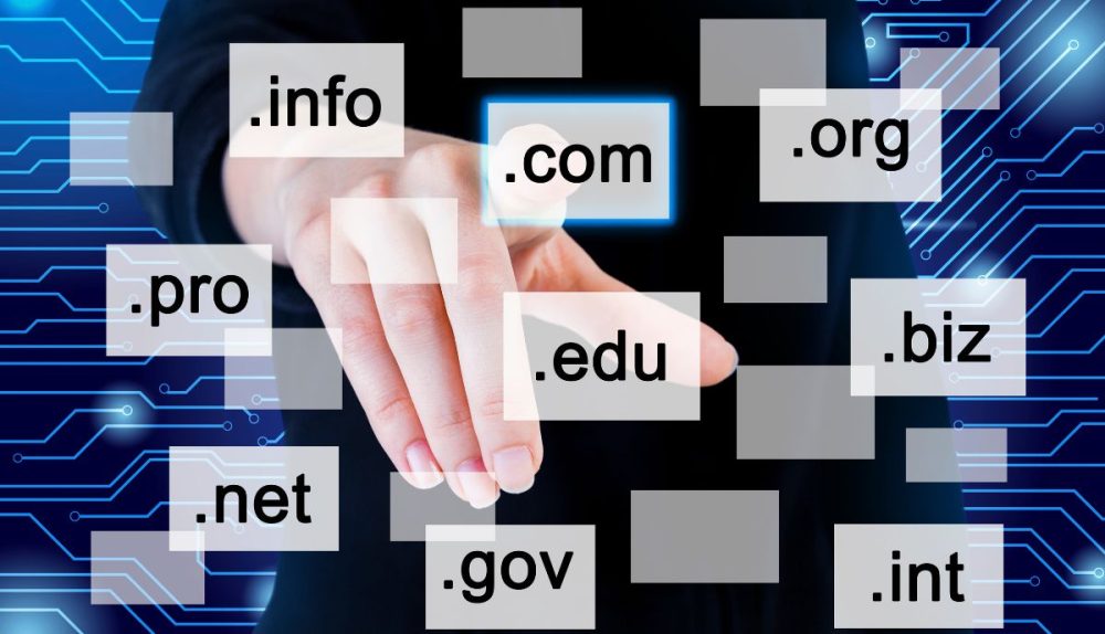Pros And Cons Of Choosing a Free Web Domain