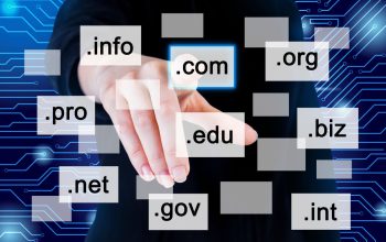 Pros And Cons Of Choosing a Free Web Domain