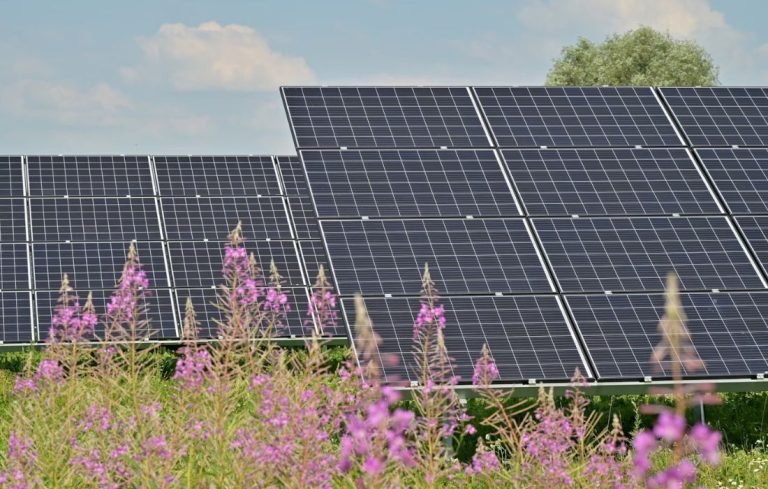 Renewable Energy