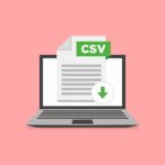 What is a CSV File