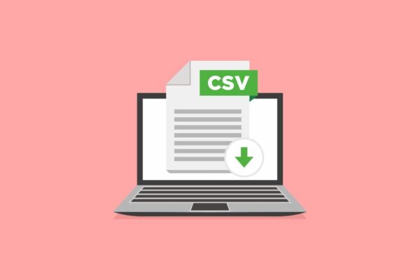 What is a CSV File & What to do to Open It What is a CSV File