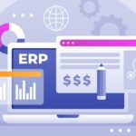 Enterprise System Integrators