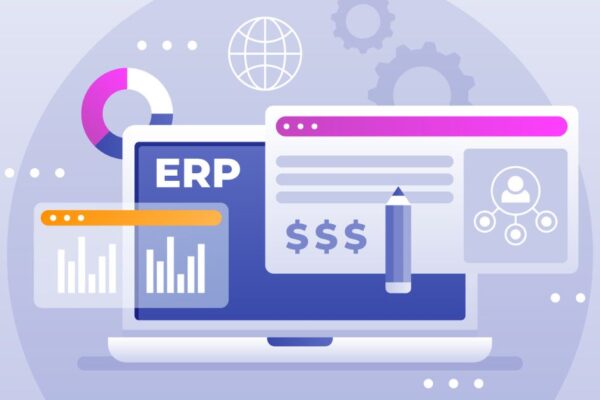 Enterprise System Integrators